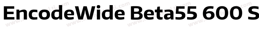 EncodeWide Beta55 600 SemiBold字体转换